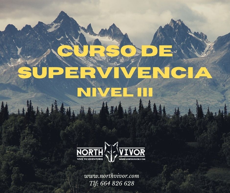 Curso Online de Supervivencia